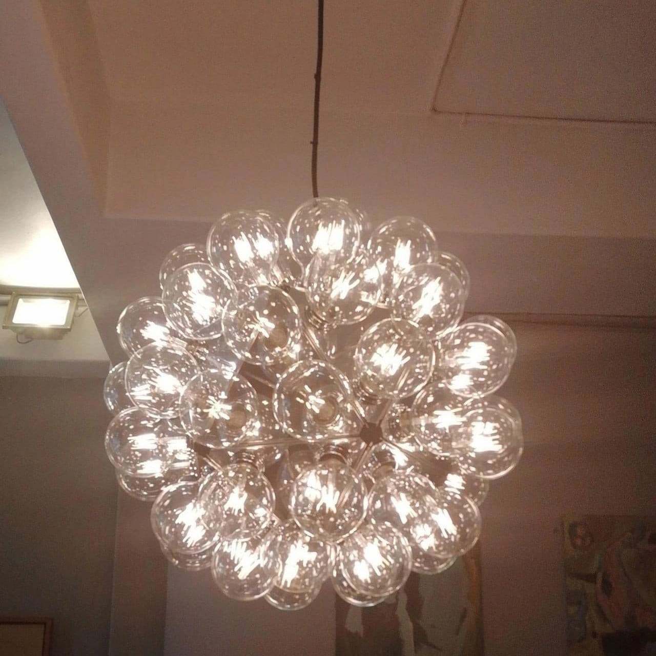 Taraxacum Pendant Light