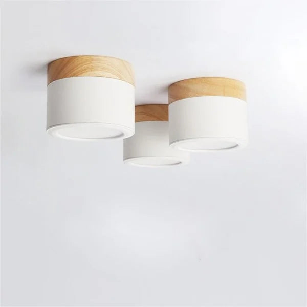 Nordic Cylindrical LED Ceiling Light S43