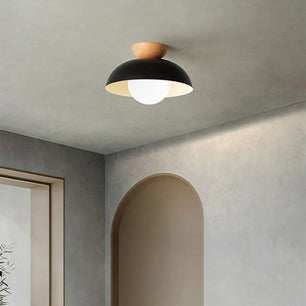 Minimalist Nordic Semi Ceiling Light S81