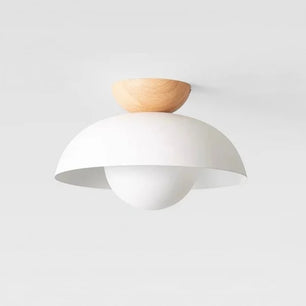 Minimalist Nordic Semi Ceiling Light S81