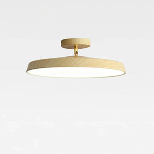 Round LED Ceiling Lamp