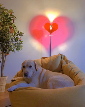 Heart Atmosphere Floor Lamp