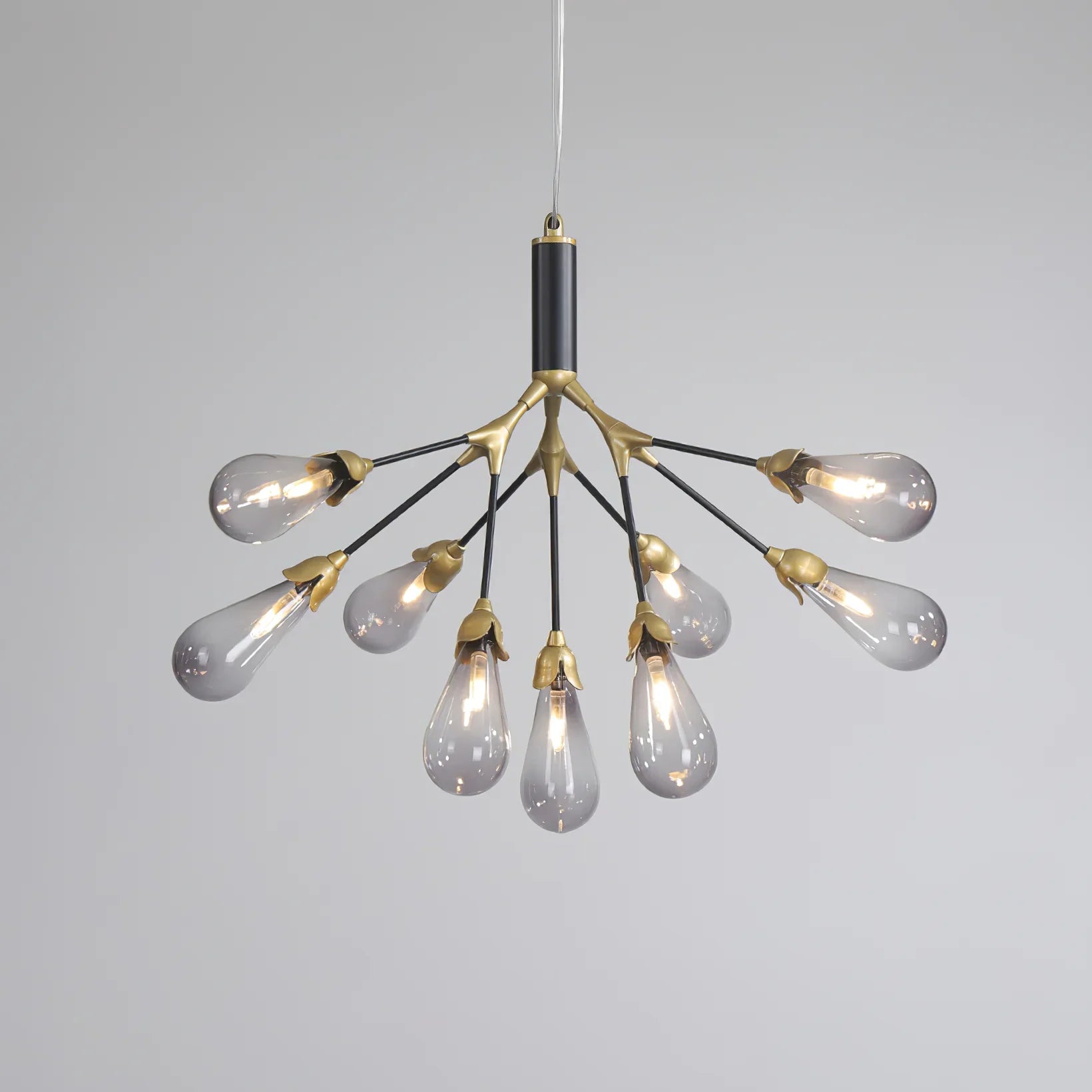 Aiwen Chandelier