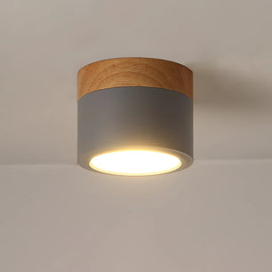 Plafonnier Spot Ceiling Lamp