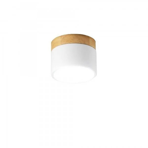 Nordic Cylindrical LED Ceiling Light S43