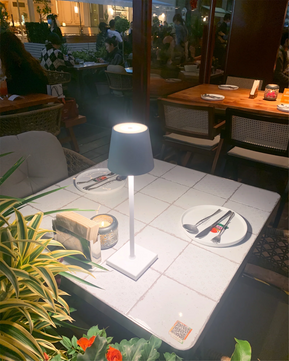 Poldina Built-in Battery Table Lamp