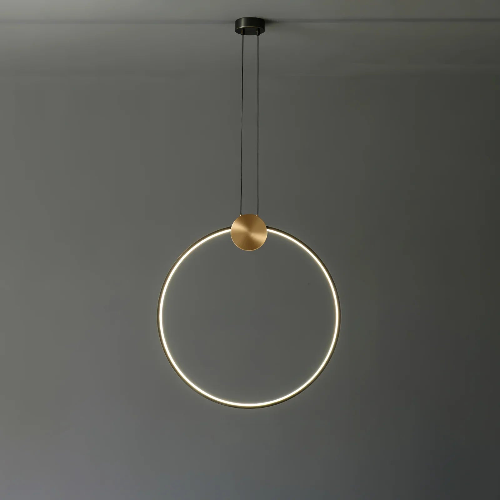 Ring Hanging Pendant Light