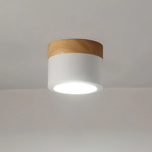 Plafonnier Spot Ceiling Lamp