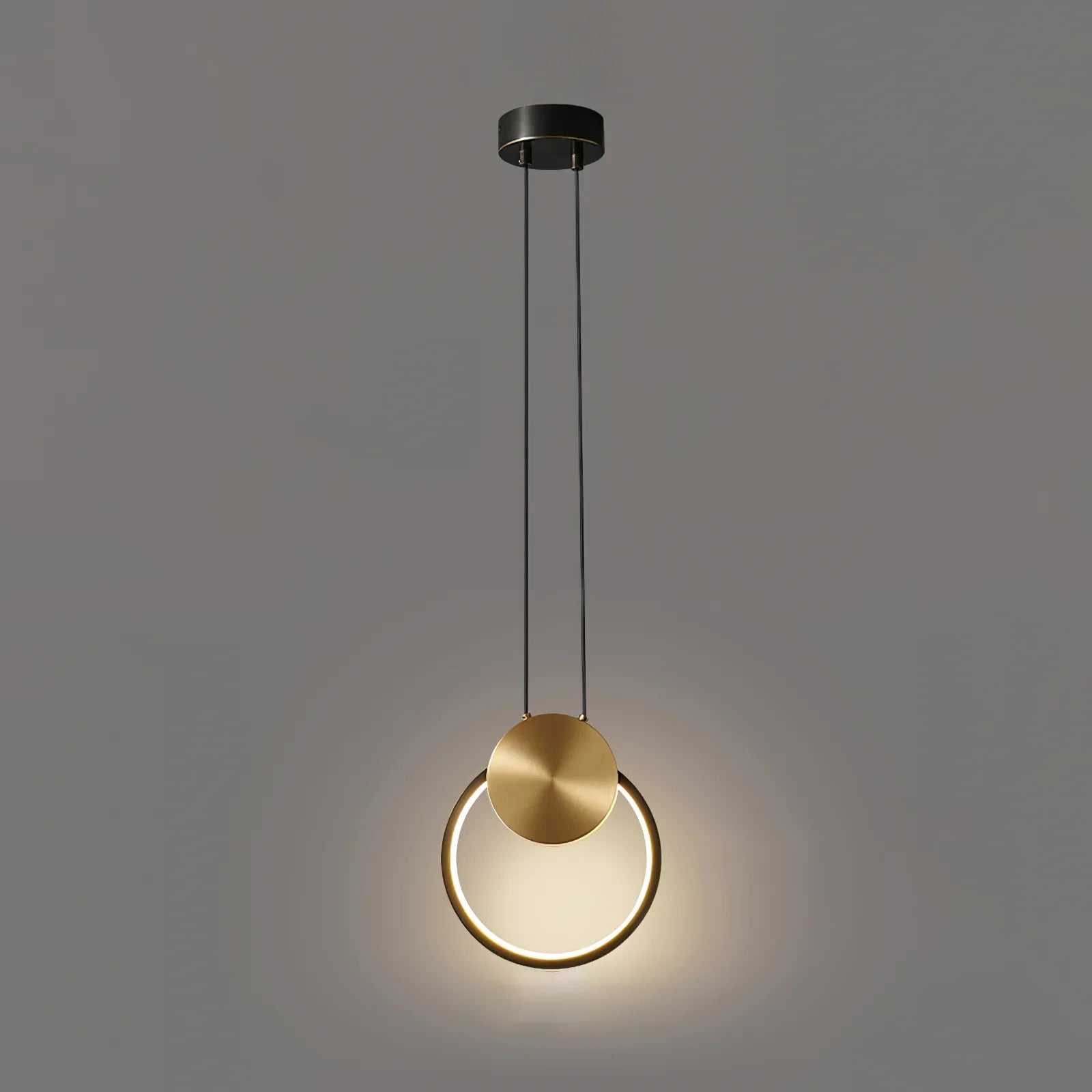 Ring Hanging Pendant Light