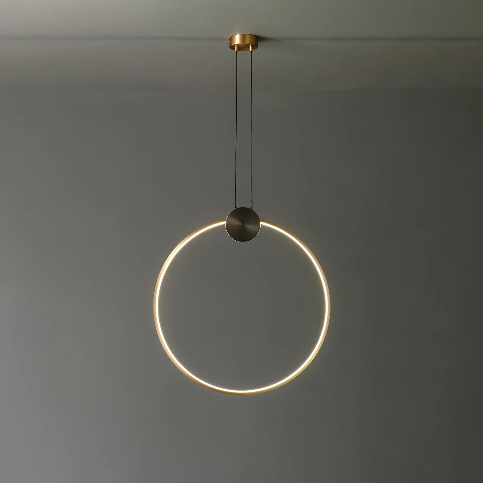 Ring Hanging Pendant Light