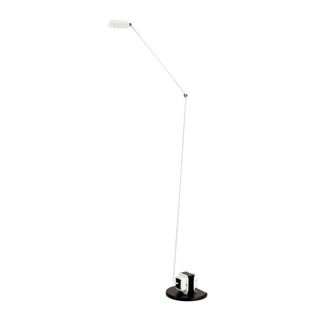 Daphines Floor Lamp