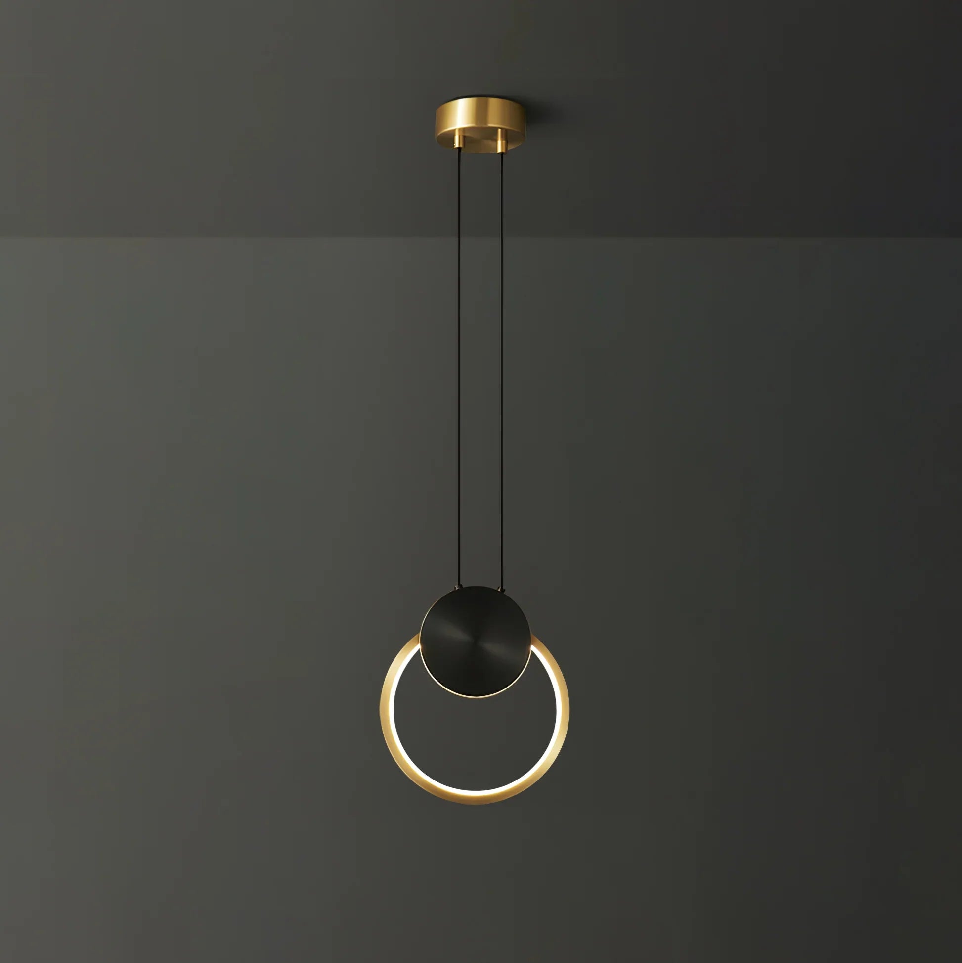 Ring Hanging Pendant Light