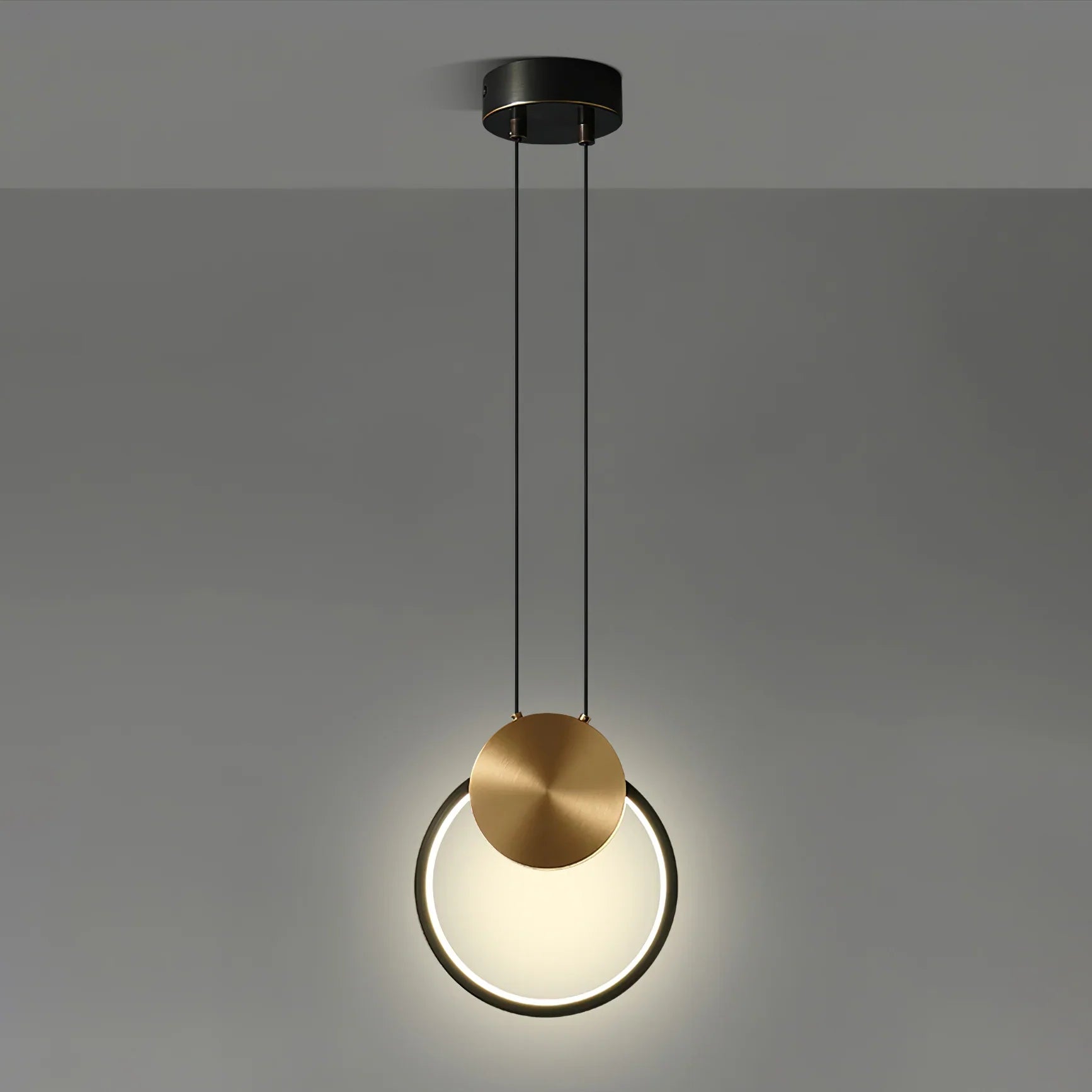 Ring Hanging Pendant Light