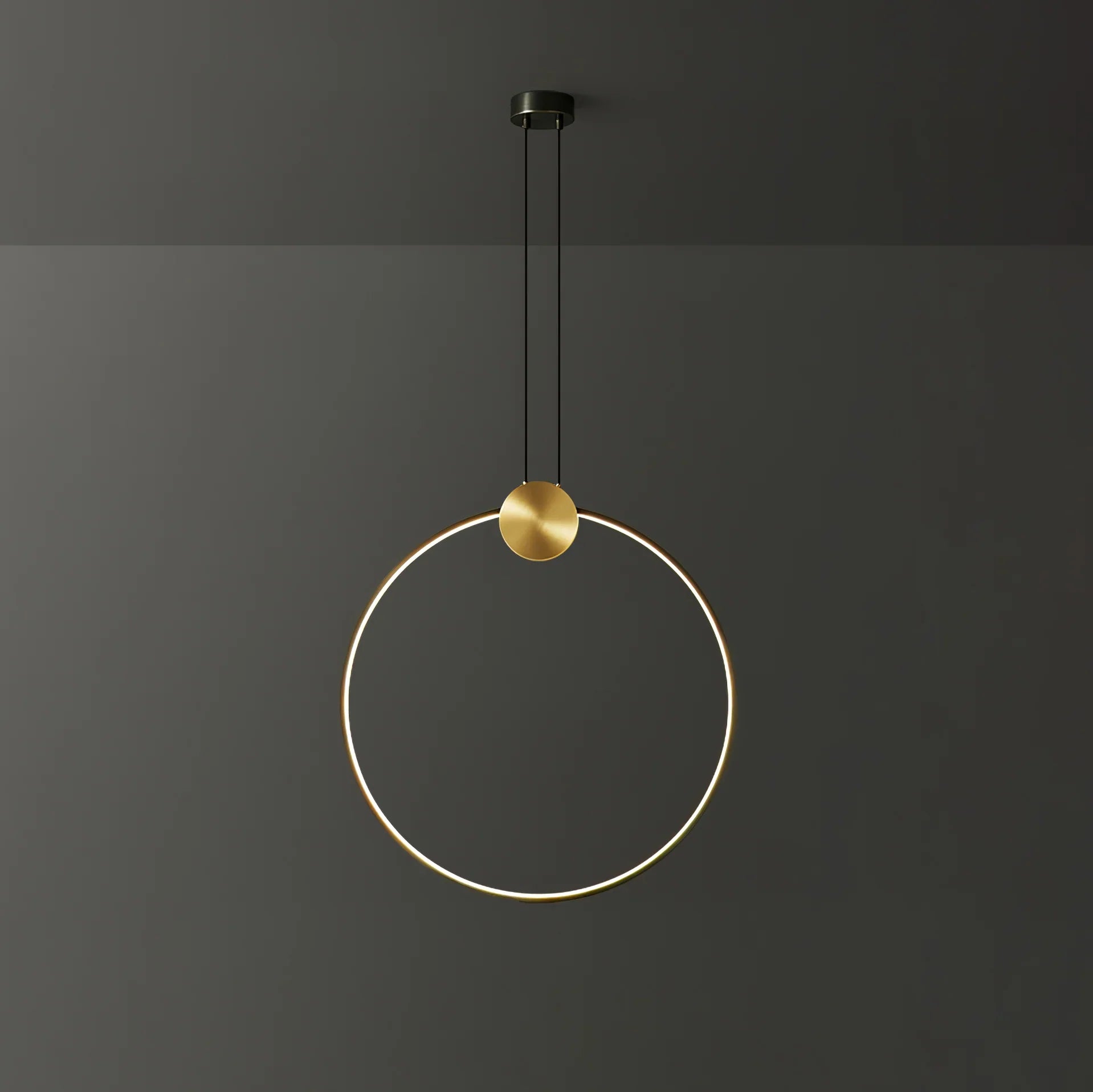 Ring Hanging Pendant Light