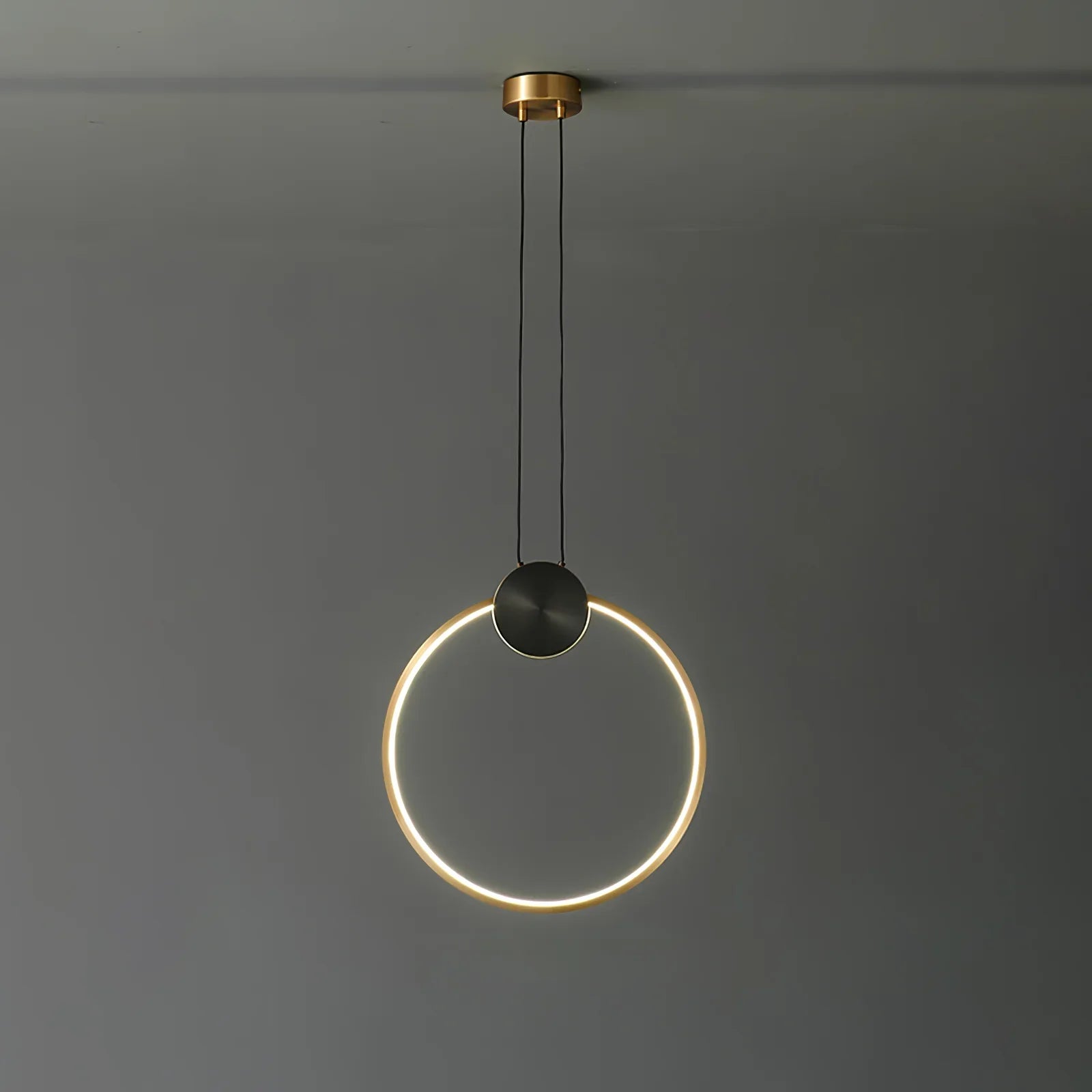 Ring Hanging Pendant Light