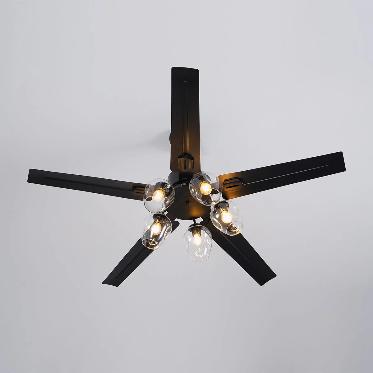 Glass Ball Ceiling Fan Light