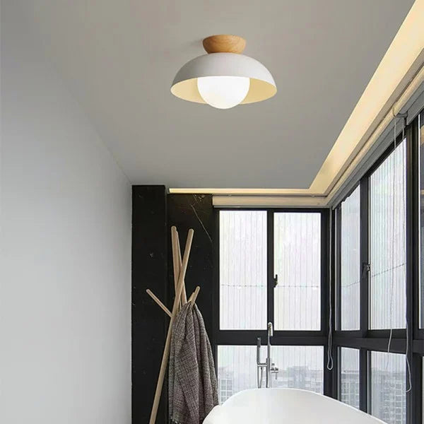 Minimalist Nordic Semi Ceiling Light S81