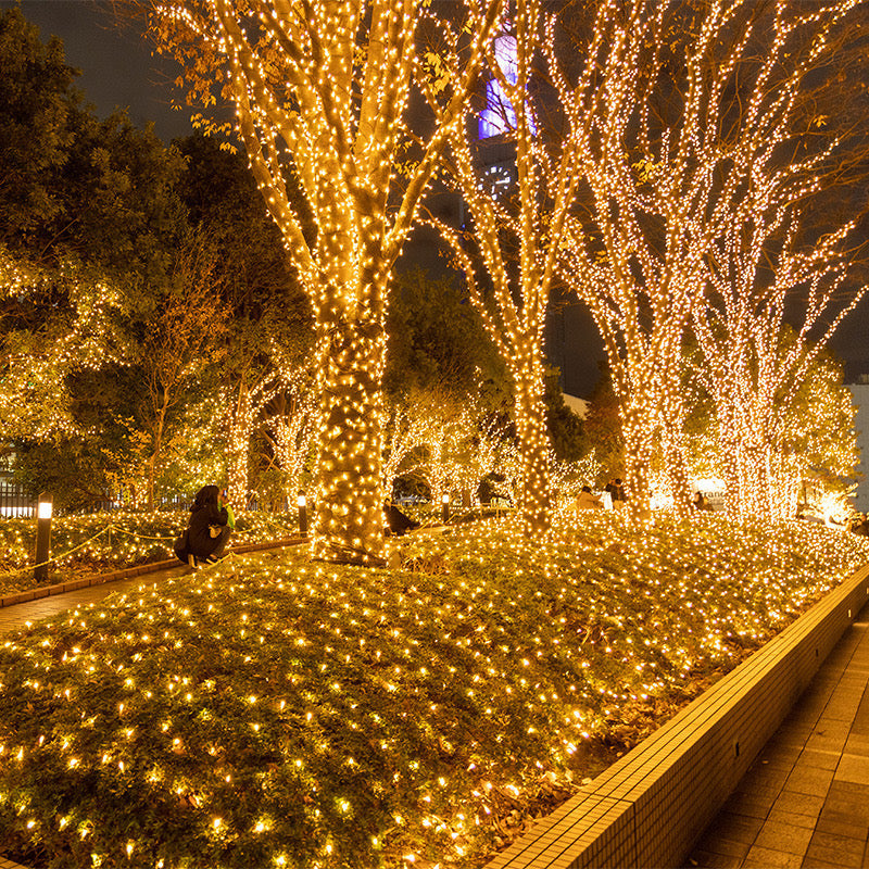 Outdoor LED Fairy Lights, Connectable, Dark Green Cable