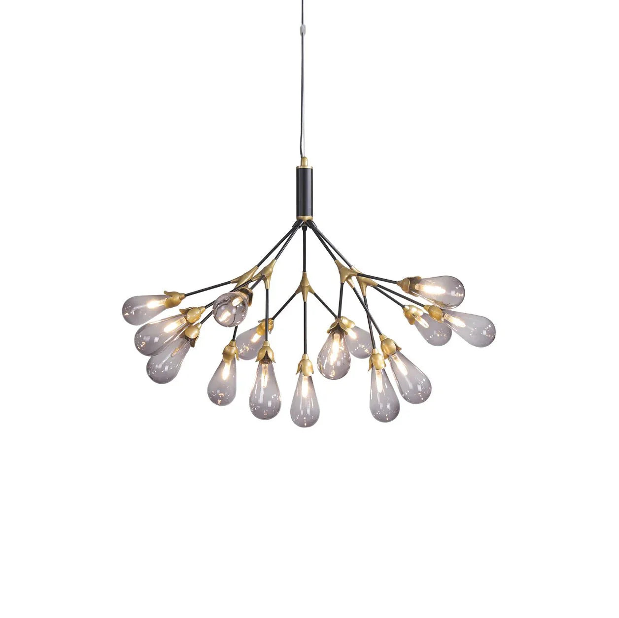 Aiwen Chandelier