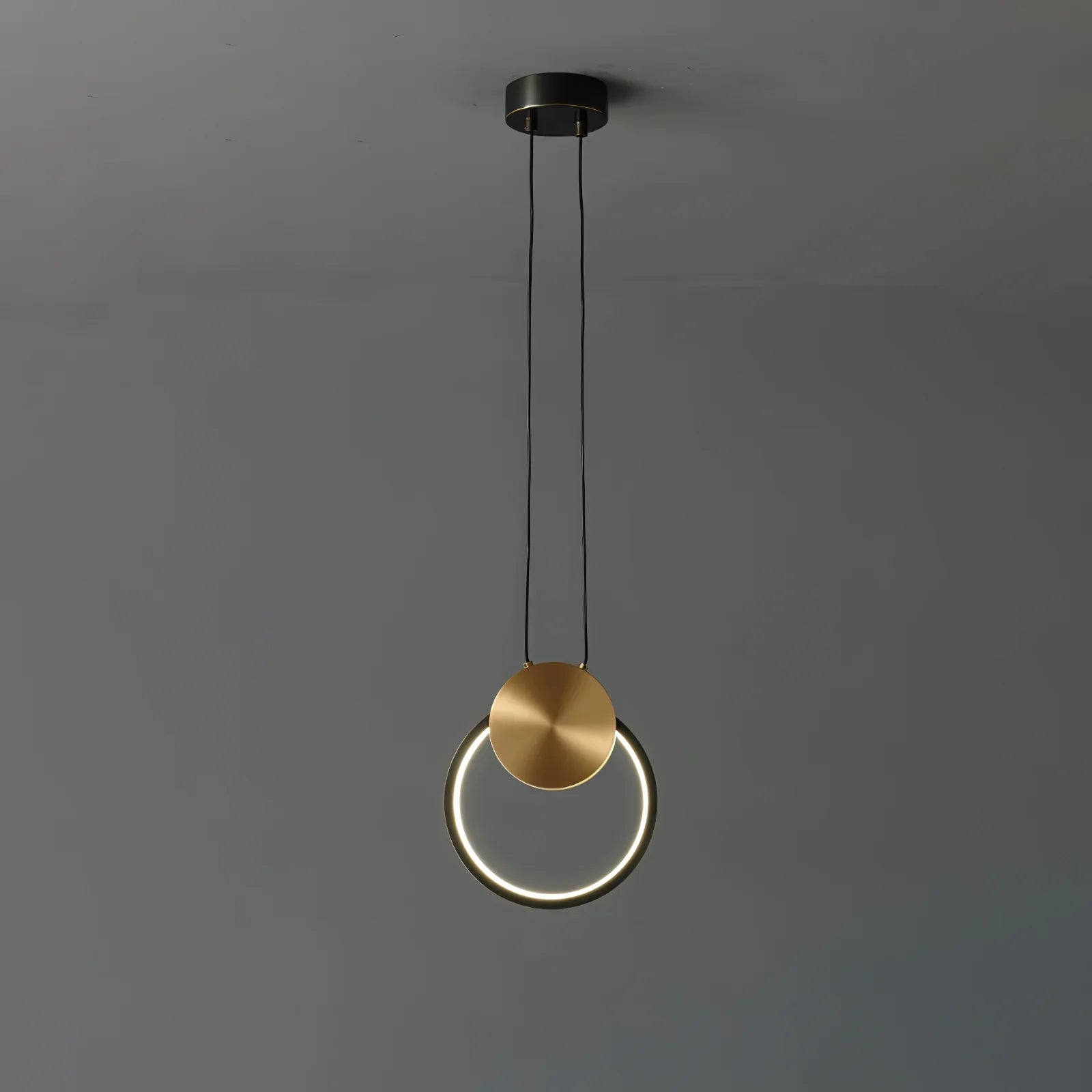 Ring Hanging Pendant Light