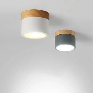 Plafonnier Spot Ceiling Lamp