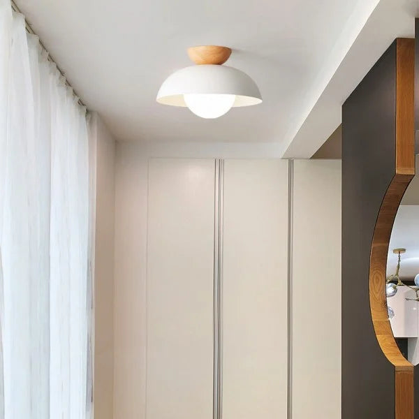 Minimalist Nordic Semi Ceiling Light S81