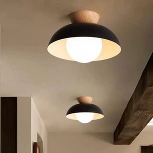 Minimalist Nordic Semi Ceiling Light S81