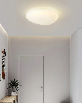 Toan LED Ceiling Lamp