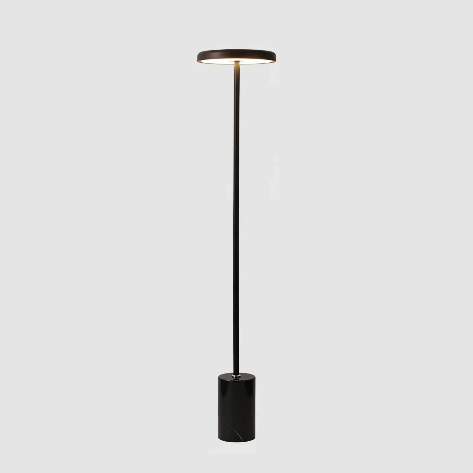 Oblique Floor Lamp