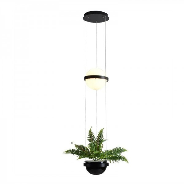 Palma Pendant Lamp