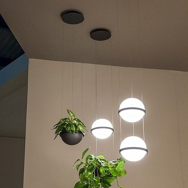 Palma Pendant Lamp